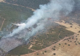 Incendio forestal en Cáceres.