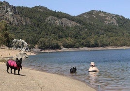 La playa de Puerto Peña en Talarrubias.