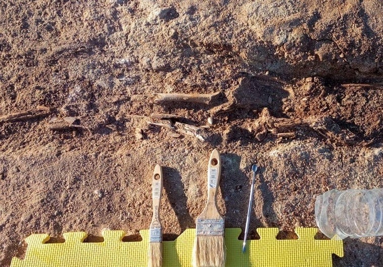 Las excavaciones en la villa romana de Almaraz cesan temporalmente