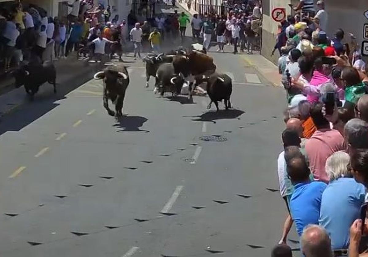 Así ha sido momento en el que los &#039;Patas blancas&#039; de Victorino Martín han arrollado a un corredor