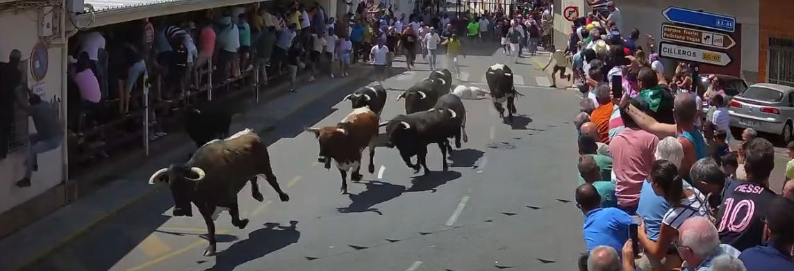 Así ha sido momento en el que los 'Patas blancas' de Victorino Martín han arrollado a un corredor
