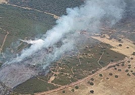 Incendio forestal en Cáceres esta semana