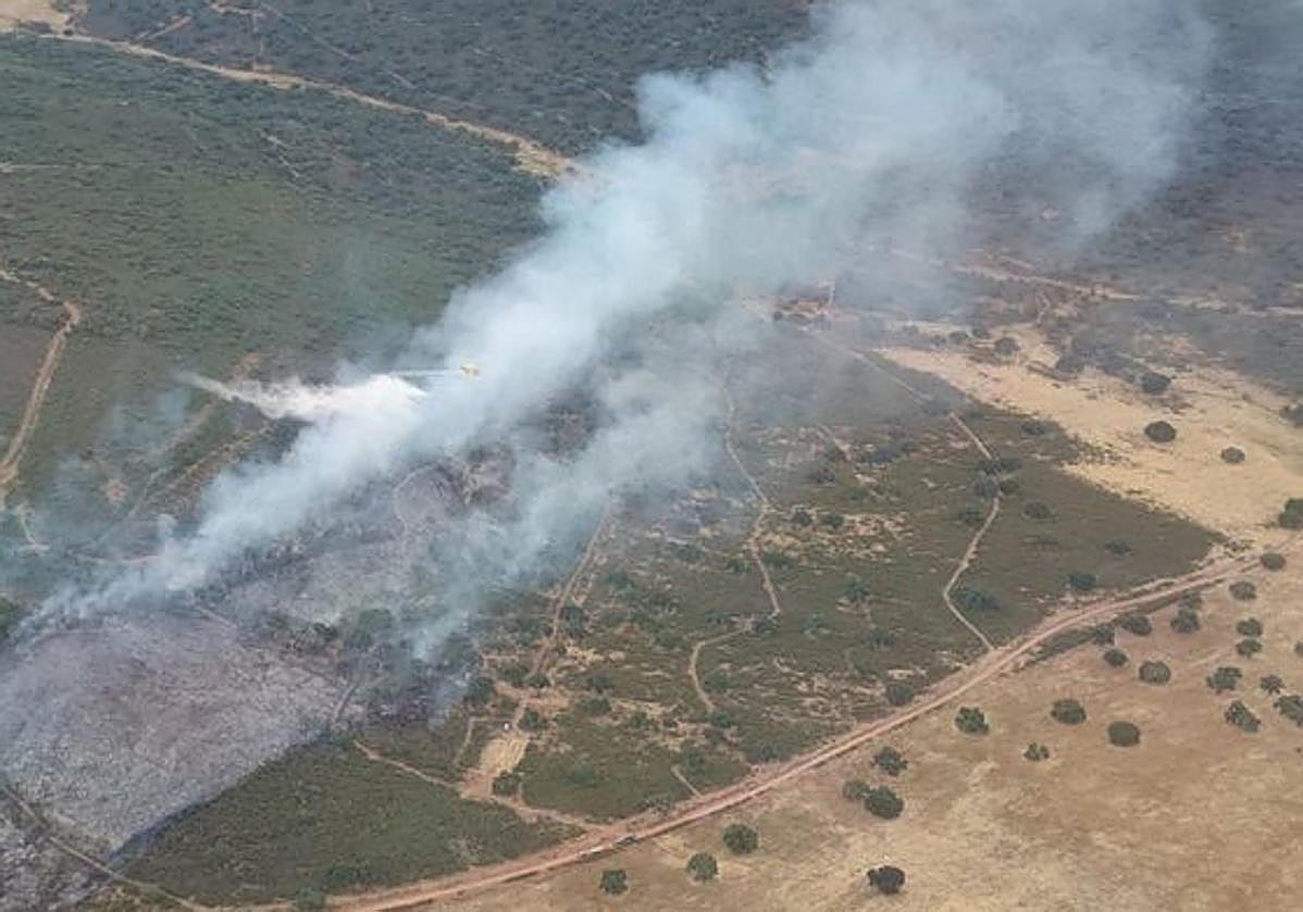 Incendio forestal en Cáceres esta semana