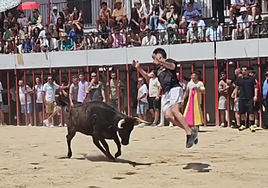 Saltos a la vaquilla este domingo en la plaza de toros de Moraleja