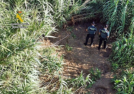 Ubicación de la plantación ilegal de marihuana.