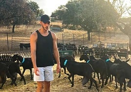 Mohammed Yasser rodeado de cabras.