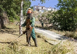 Desbroce en las traseras de la residencia de Alzheimer.