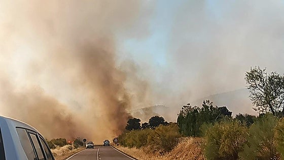 ¿Qué ha pasado este martes, 15 de julio, en Extremadura?