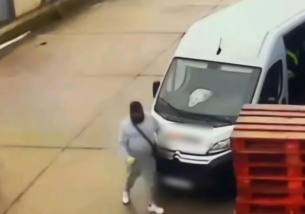 Imagen principal - Nueve detenidos por robar en polígonos industriales de Cáceres, Badajoz y otras siete provincias