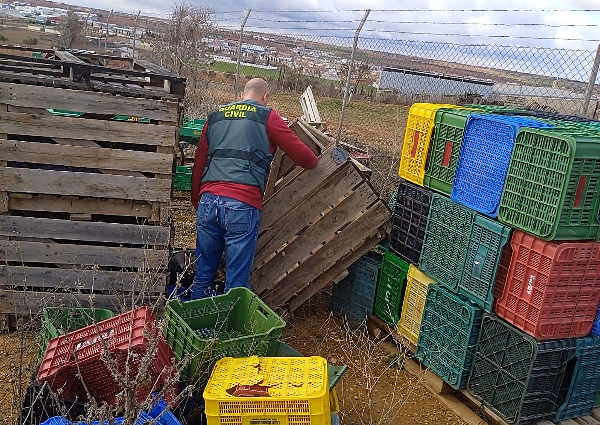 Imagen secundaria 1 - Nueve detenidos por robar en polígonos industriales de Cáceres, Badajoz y otras siete provincias