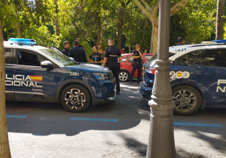 Agentes de la Policía Nacional tras detener a uno de los asaltantes en el paseo de Cánovas.