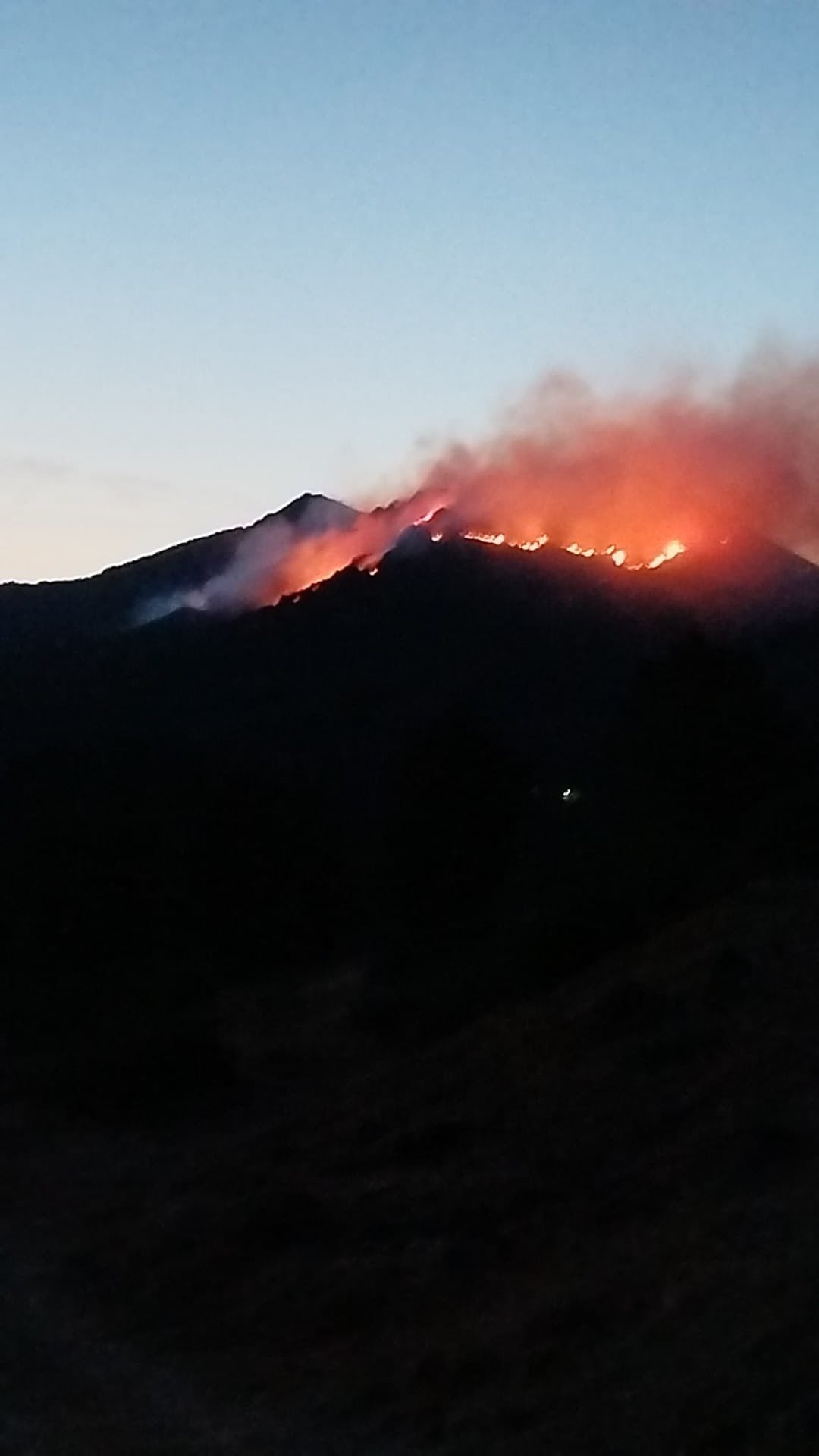 Llamas y columnas de humo provocadas por el incendio en la noche del viernes