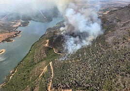 Incendio forestal con dos focos en Cañamero.