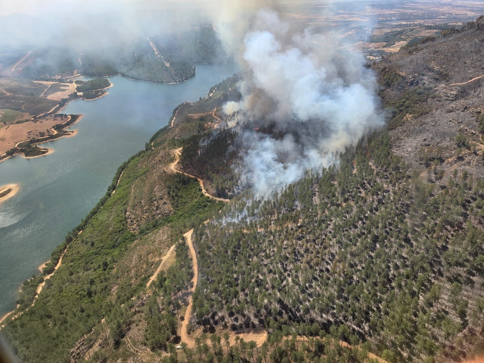 Vista aérea de estado del incendio de Cañamero a mediodía del sábado.