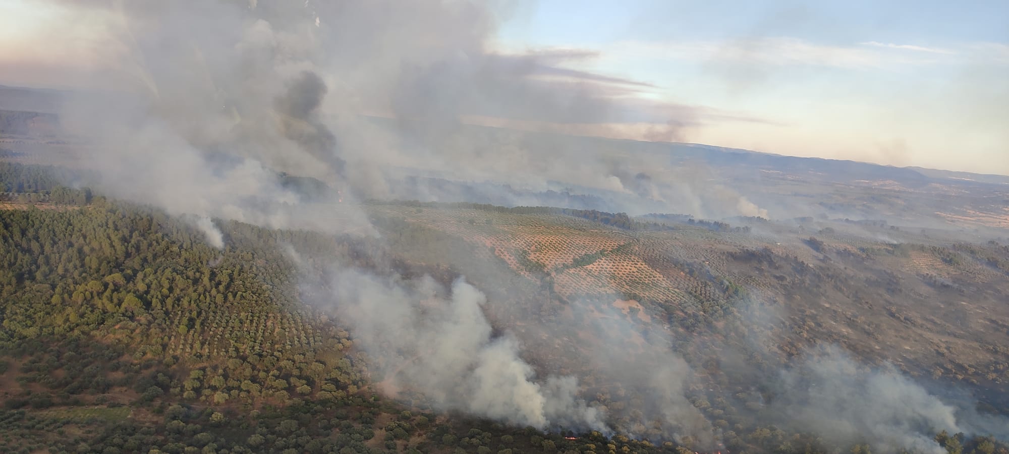 Columnas de humo vistas este sábado por la tarde.