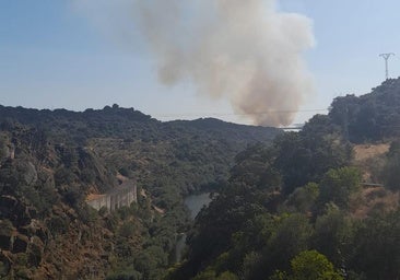 El Infoex da por estabilizado el incendio de Valdeobispo, cerca de la presa