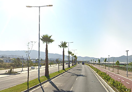 Avenida Costa Tropical de Motril, donde tuvo lugar el suceso.