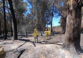 Estado actual del incendio de Valdecaballeros.