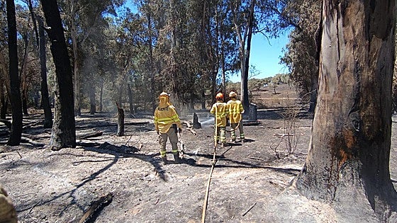 El Infoex da por controlado el incendio de Valdecaballeros que arrasó 2.400 hectáreas