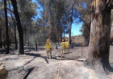 Vecinos afectados por el incendio en Valdecaballeros aseguran que «no ha sido casualidad»