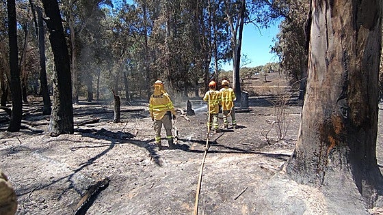 Vecinos afectados por el incendio en Valdecaballeros aseguran que «no ha sido casualidad»
