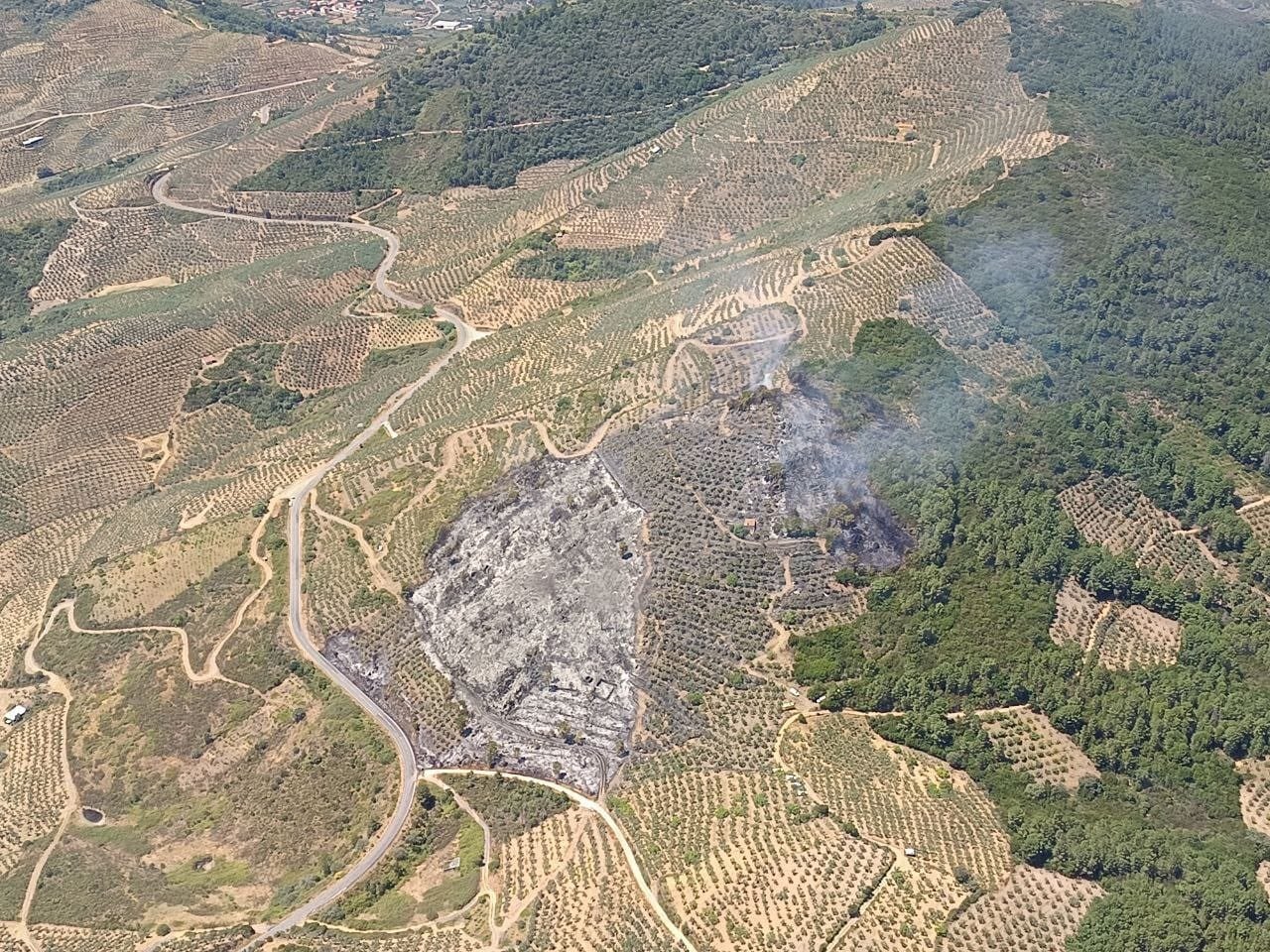 Incendio declarado entre Mohedas de Granadilla y Casar de Palomero este martes.