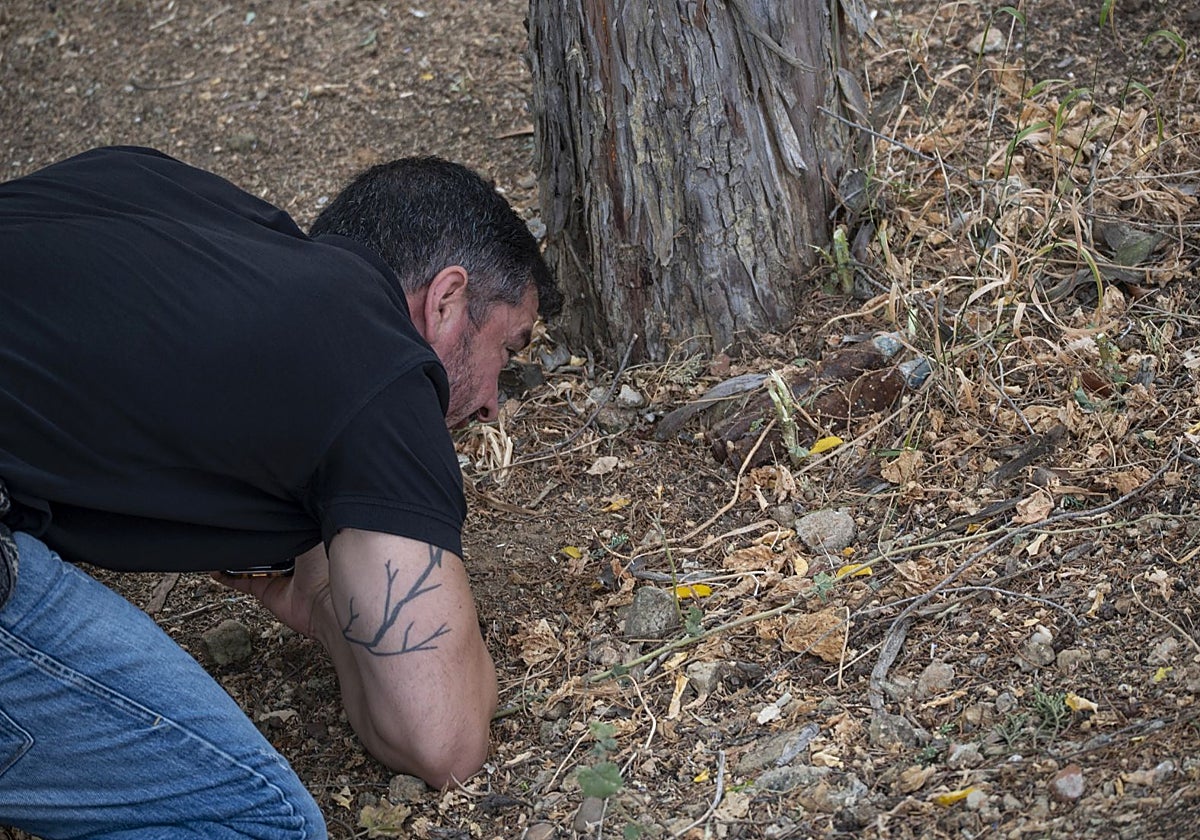 Así han retirado los Tedax los explosivos encontrados en Badajoz