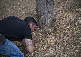 El especialista observa los proyectiles encontrados en Badajoz