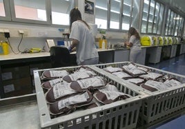 Fotos | Extremadura pide donaciones de sangre