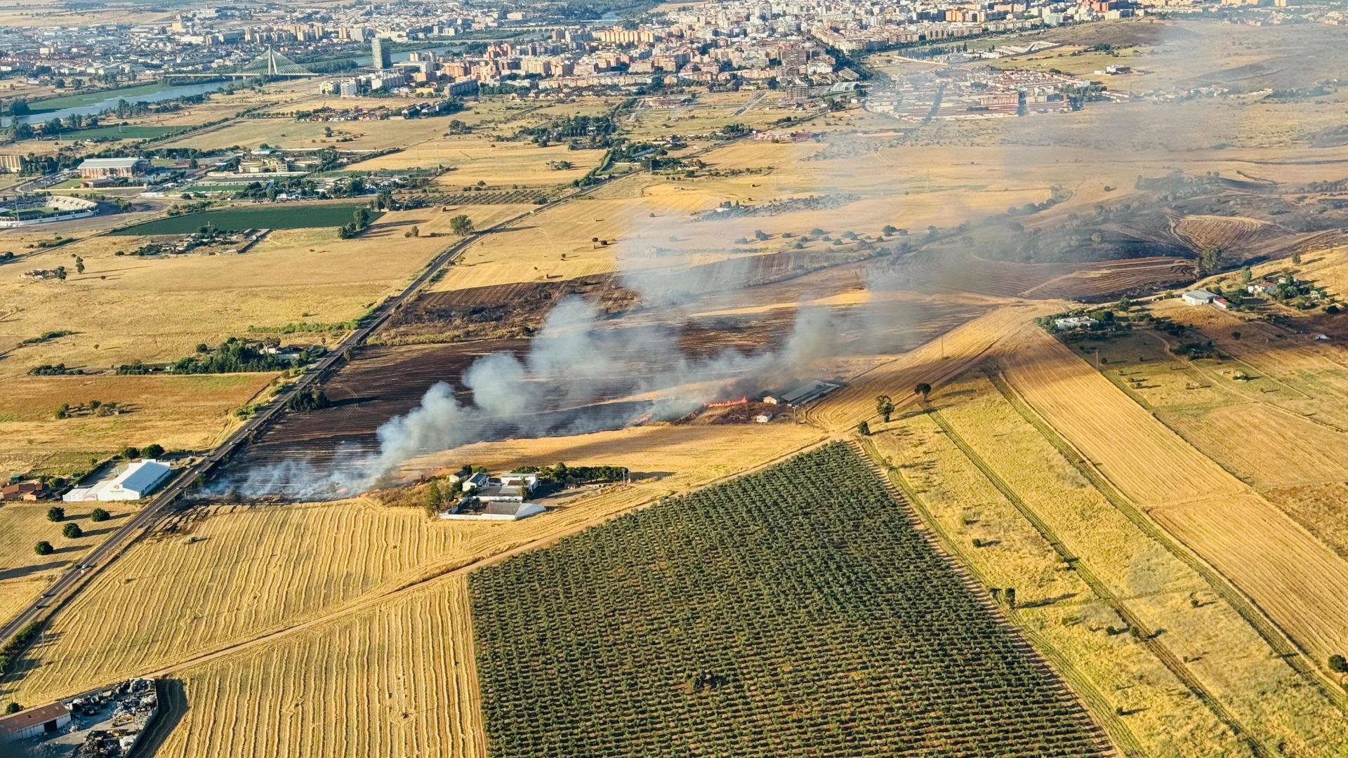 Incendio de esta tarde en la carretera de Olivenza.