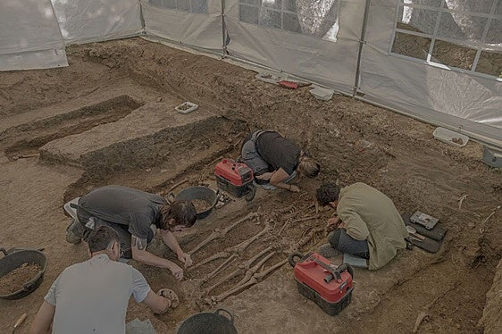 Los arqueólogos hallan a siete víctimas de la Guerra Civil en el cementerio de Bodonal de la Sierra