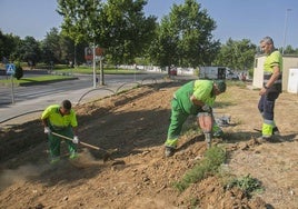 Trabajadores municipales en el talud junto al área de autocaravanas.