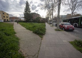Parcela municipal de la avenida de la Hispanidad donde se construirá el nuevo PAC.