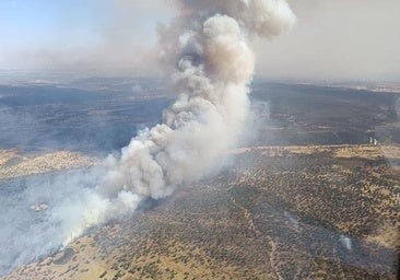Extremadura registra 26 incendios forestales en la última semana, que arrasan 1.300 hectáreas