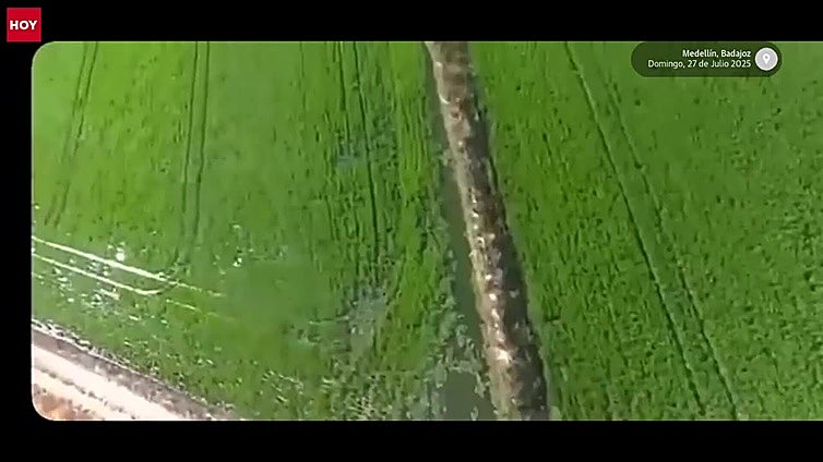 El Infoex declara un incendio forestal en Medellín