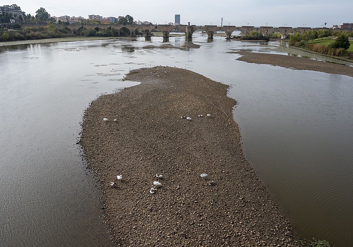 El nivel del Guadiana ha vuelto a bajar debido a las obras.