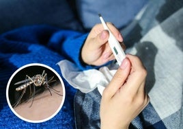 Síntomas del virus del Nilo: ¿cómo distinguirlos de una gripe o COVID?