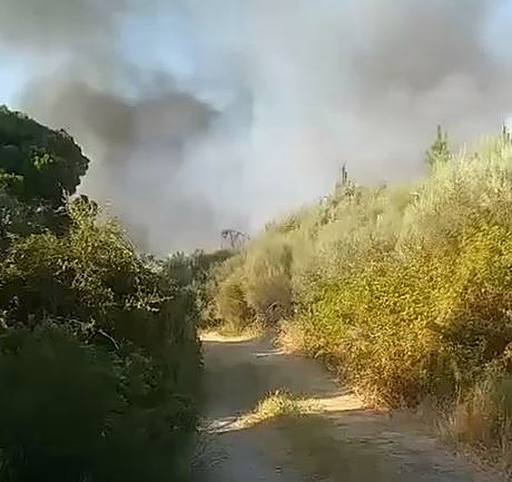 Los bomberos intervienen en otros dos incendios forestales, uno de ellos de nivel 1 en Zalamea de la Serena