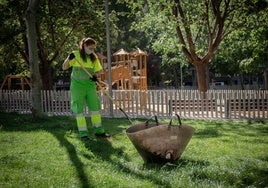 Imagen de una trabajadora municipal haciendo labores de jardinería