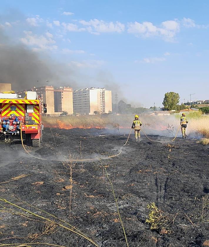 Imagen secundaria 2 - Incendio forestal en El Junquillo.