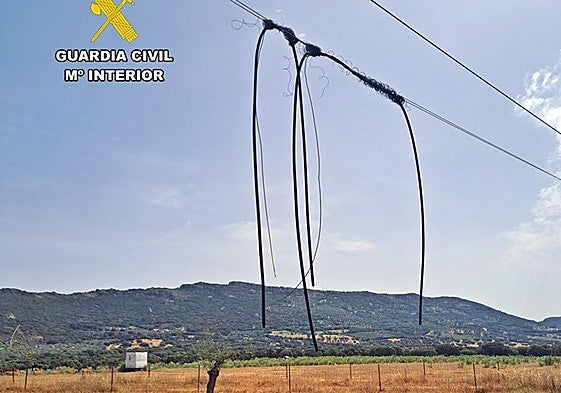 Cae un grupo acusado del robo de ganado y 8.400 metros de cable de líneas telefónicas