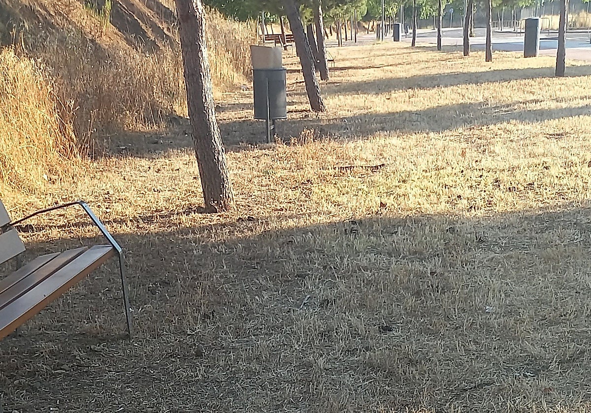 Excrementos de perros junto a bancos en el parque infantil de Plantonal de Vera.