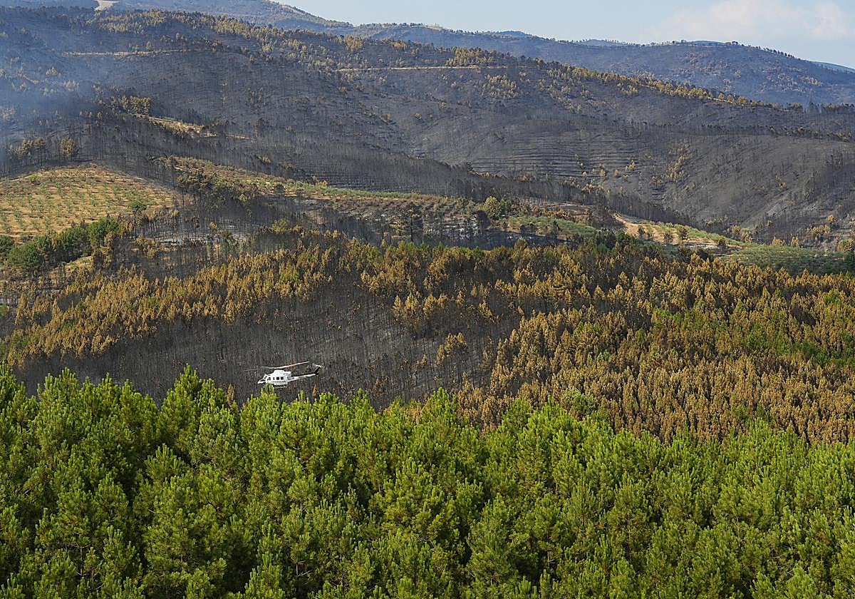 El incendio de Las Hurdes se da por estabilizado pero Avellanar se mantiene evacuada