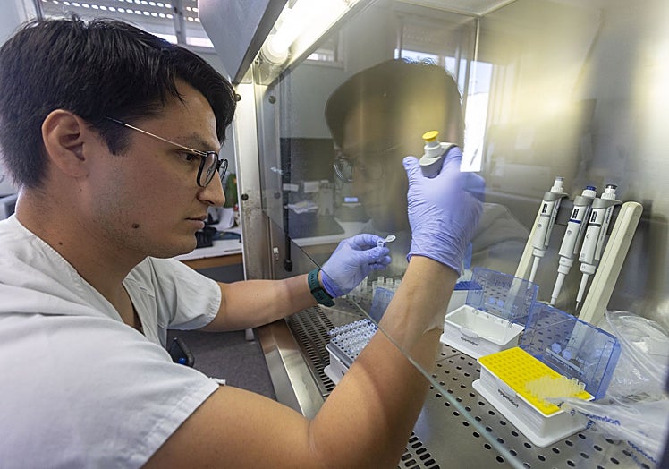 Un técnico realizando una de las pruebas en el laboratorio.