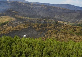Un helicóptero sobrevuela la zona del incendio de Las Hurdes, este pasado jueves.