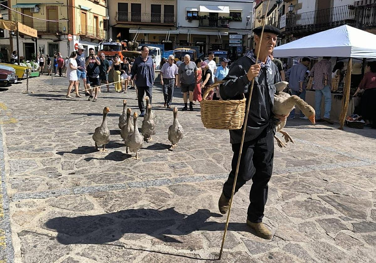 Los antiguos oficios se suceden por las calles y plazas de Jarandilla.