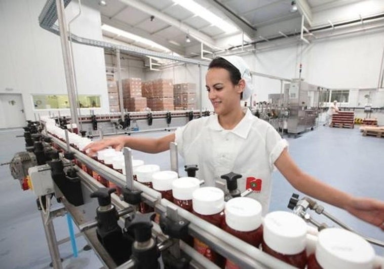 Luz verde a la concesión de incentivos económicos para cuatro proyectos extremeños