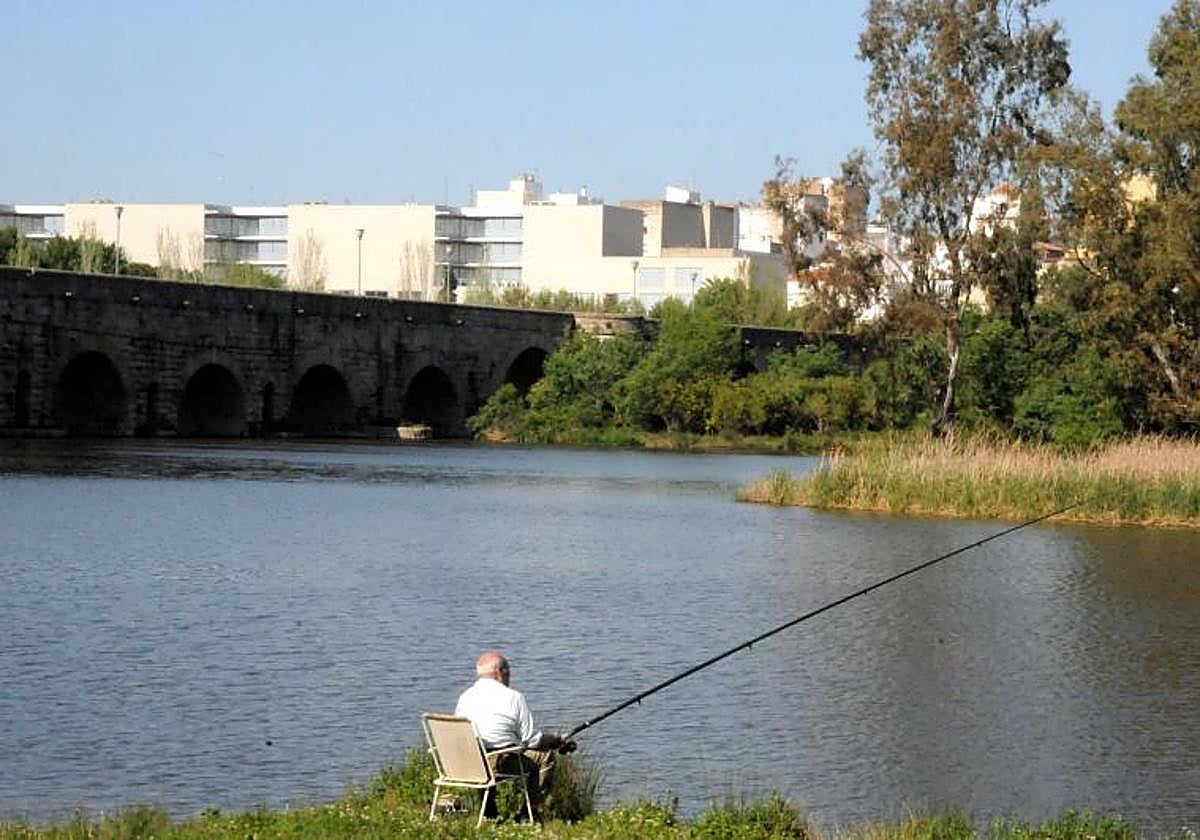 Hombre pescando en el río Guadiana, a su paso por la ciudad