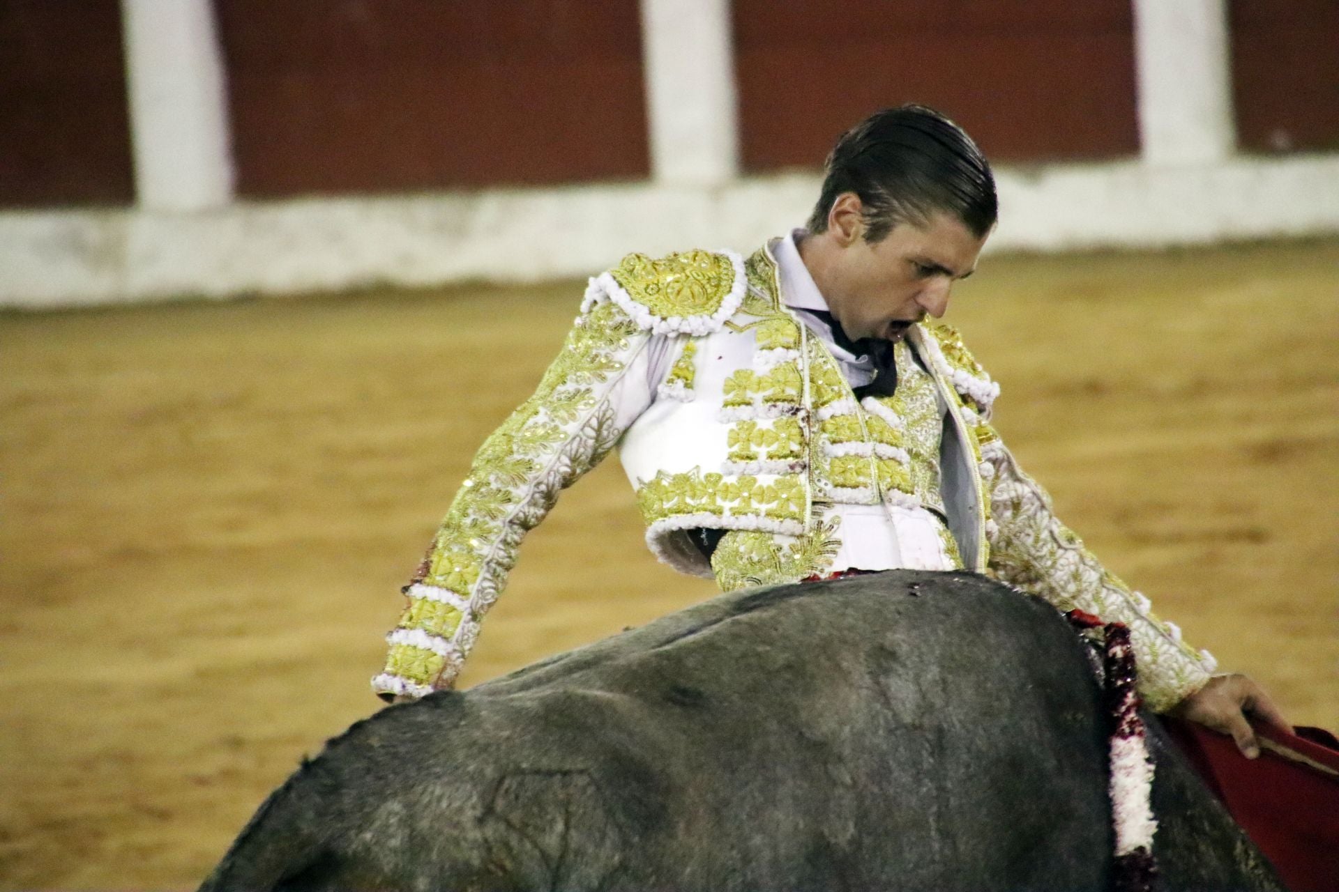 El festejo mixto en Plasencia, en imágenes