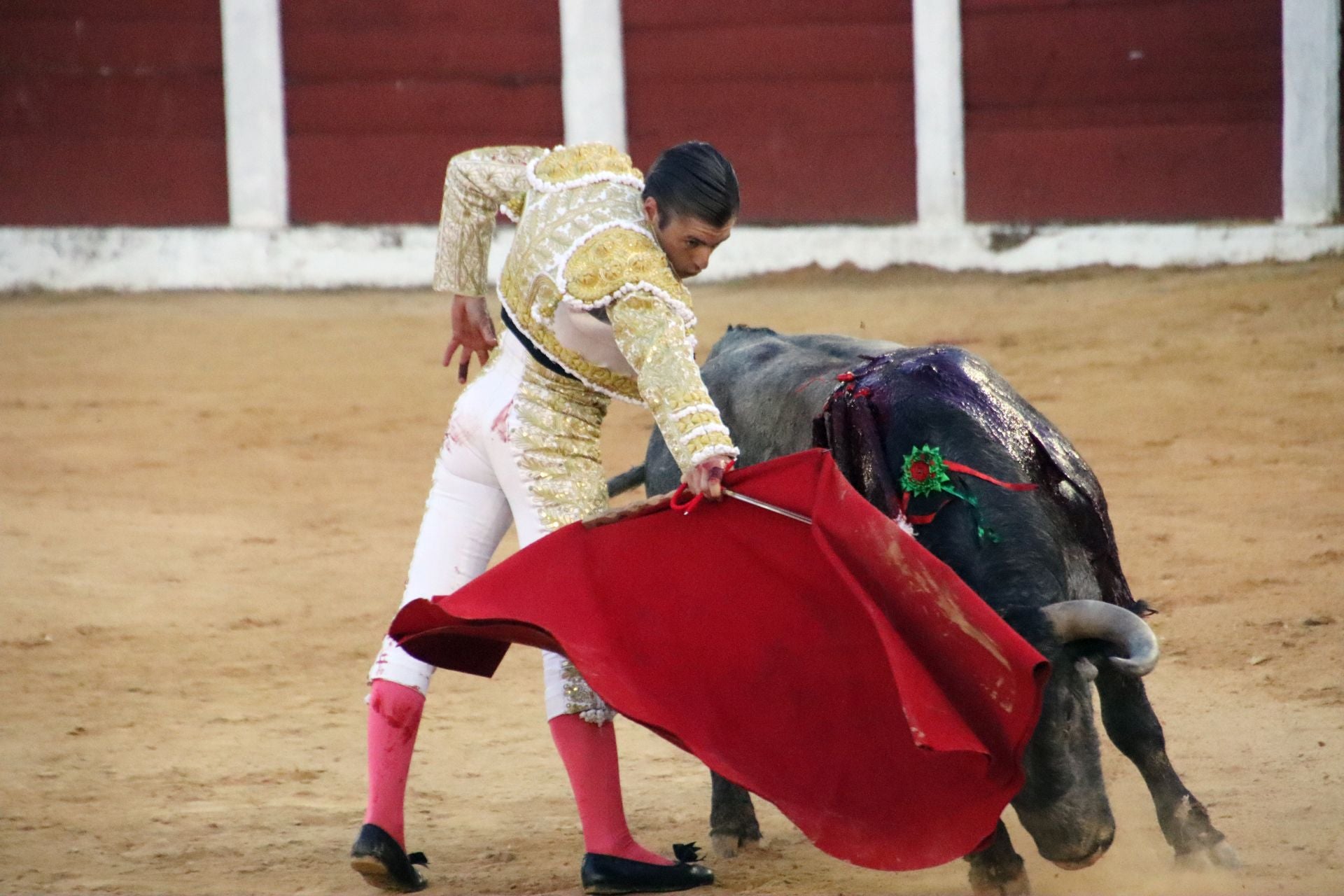 El festejo mixto en Plasencia, en imágenes